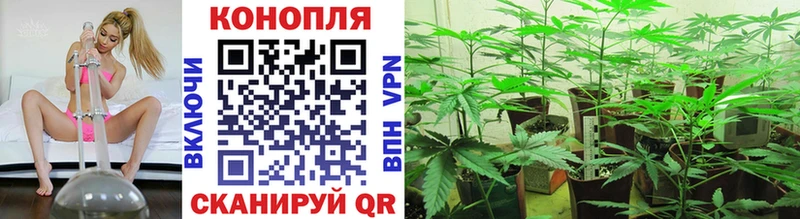 Купить закладку COCAIN  Псилоцибиновые грибы  Каннабис  МЕФ  Северская