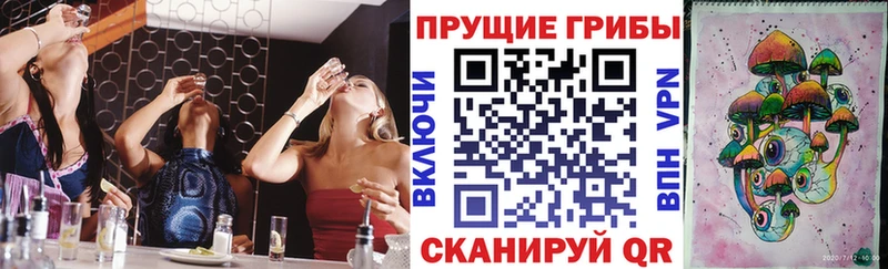 Псилоцибиновые грибы ЛСД  Купить где  Северская 